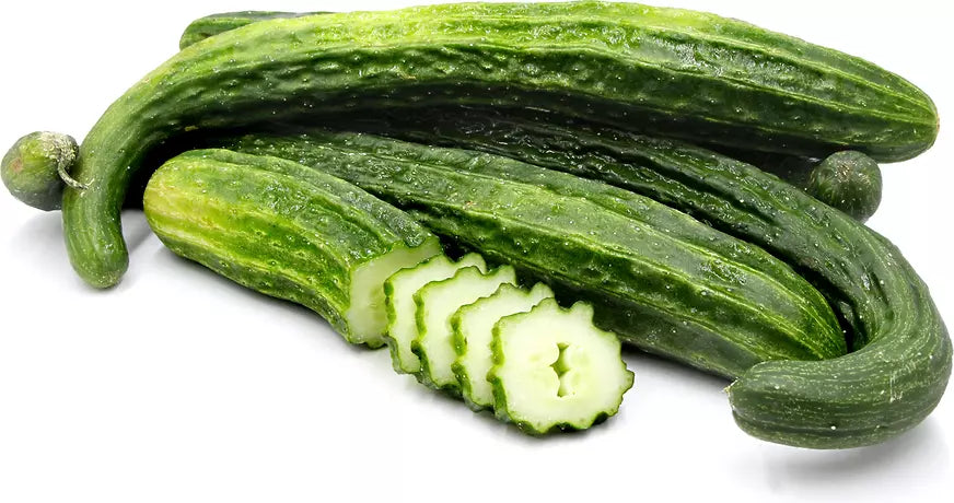 Suyo Long Cucumber Seeds - 100+ Organic Heirloom Non-GMO - Rare Variety Cucumis sativus for Home Gardens and Containers