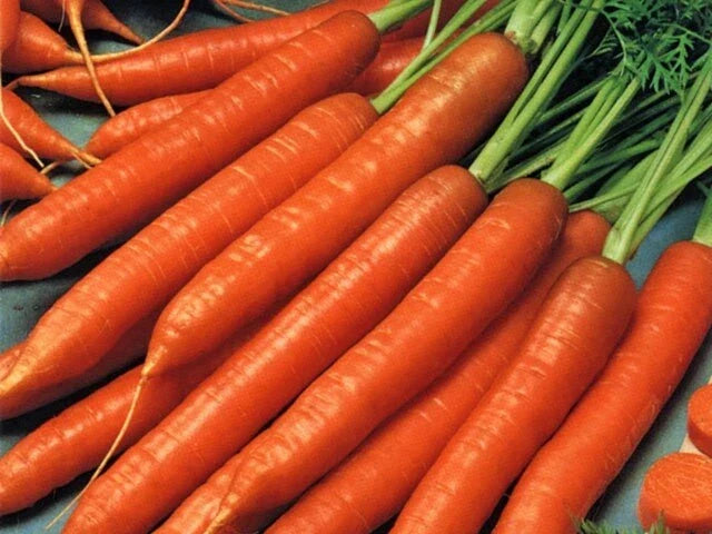 Scarlet Nantes Carrot Seeds - 100 Heirloom Non-GMO Seeds, Sweet & Crispy, Daucus carota for Home Garden or Market