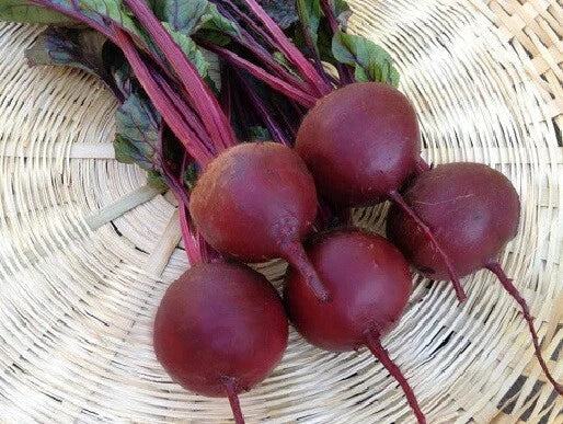 Beet Seeds 8000 Count Detroit Dark Red Frost Hardy Beta vulgaris Non-GMO Culinary Variety