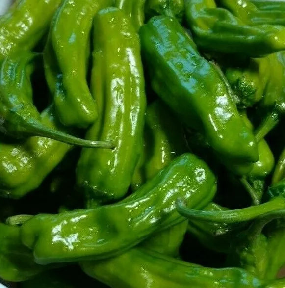 Italian Pepperoncini Seeds - 30+ Mild Heat Spice - Capsicum annuum - Perfect for Garden & Culinary Use