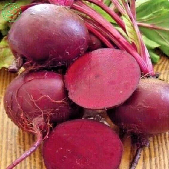 Ruby Queen Beet Seeds - 100+ Heirloom Vegetable Seeds - Beta vulgaris - Easy to Grow for Garden & Patio