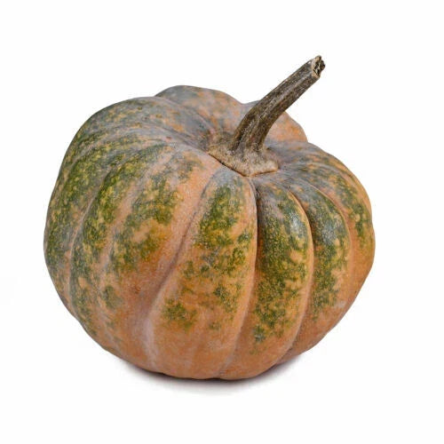 Musquee De Provence Pumpkin Seeds - 25+ Heirloom Seeds - Cucurbita maxima - Non-GMO for Garden Planting - USA