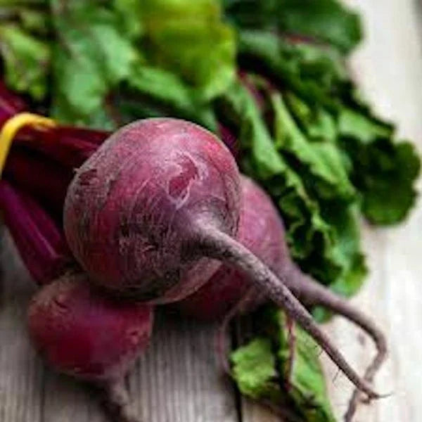 Detroit Dark Red Beet Seeds - 250 Non-GMO Seeds for Organic Gardening - Beta vulgaris - Fast Growing, Sweet Flavor