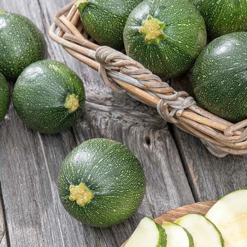 Round Zucchini Seeds, 20 Pack, Premium Summer Squash, Cucurbita pepo - Non-GMO, Fast-Growing Vegetable for Home Gardens