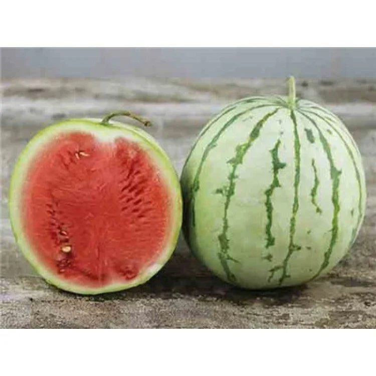 Dixie Queen Watermelon Seeds, NON-GMO Heirloom, Crimson Flesh, Citrullus lanatus, Pack of 25 Seeds, Free Shipping