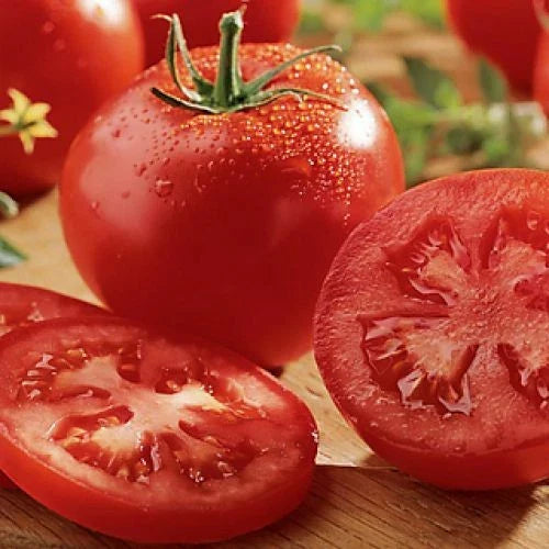 Celebrity Tomato Seeds | F1 Hybrid Non-GMO | Heirloom Variety | Solanum lycopersicum | 25 Seeds for Home Garden