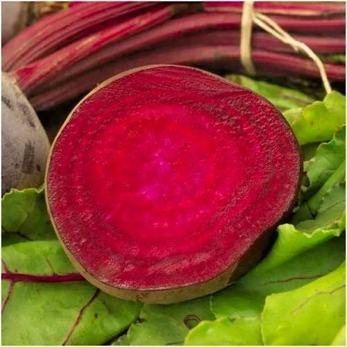 Bulls Blood Beet Seeds - 101+ Heirloom Vegetable Seeds - Beta vulgaris - Deep Red Foliage for Garden & Container Planting