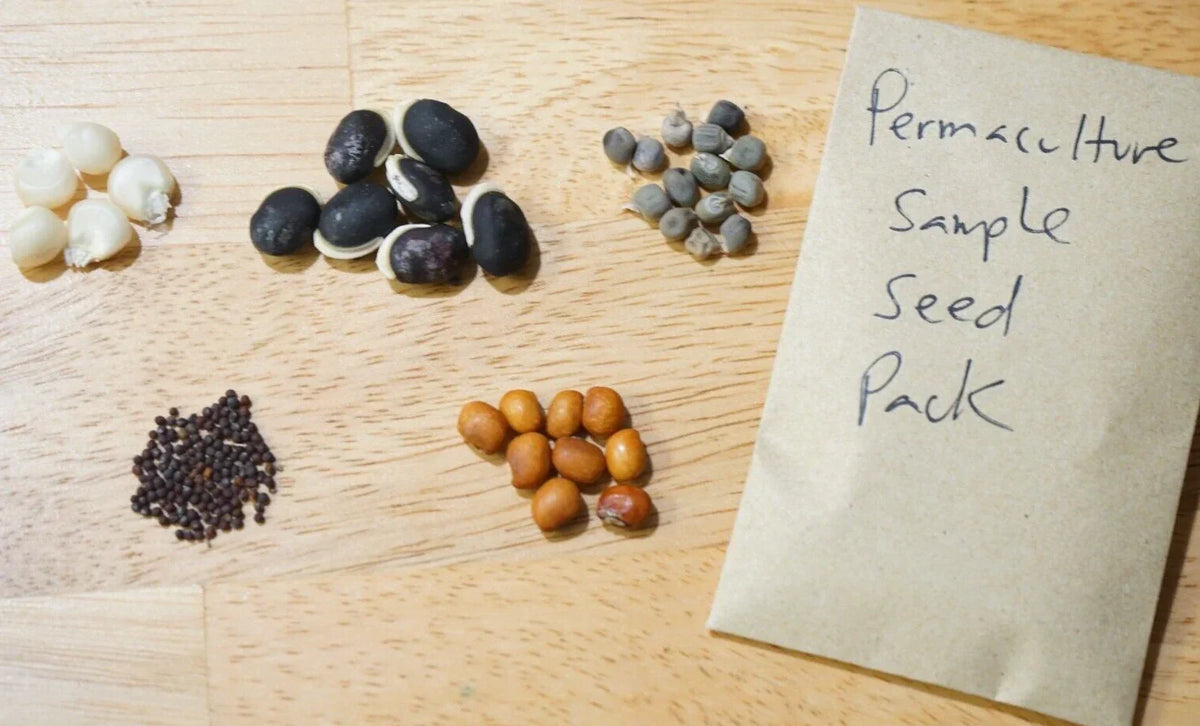 Permaculture Seed Sample Pack - 5 Organic Heirloom Vegetable Varieties - Non-GMO Seeds for Home Gardening - Various