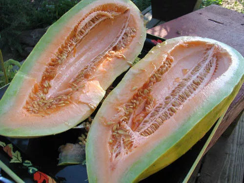 Banana Melon Seeds - 25 Rare Heirloom Non-GMO Seeds - Cucumis melo - Sweet Flavor for Home Gardening