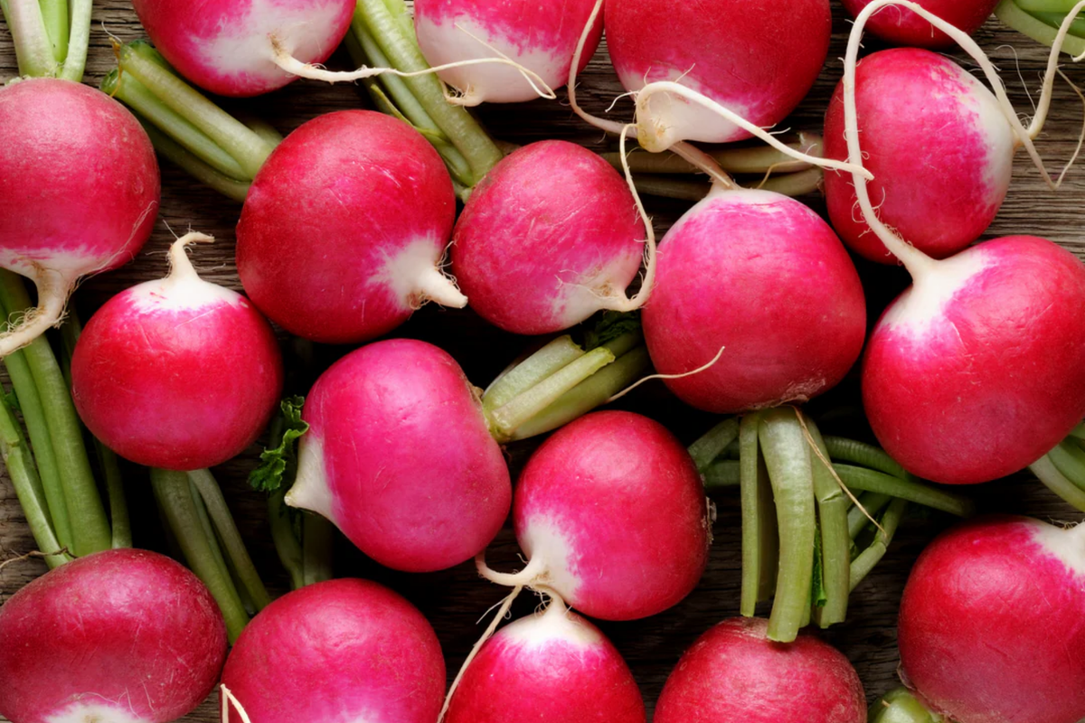 Champion Radish Seeds | Organic Non-GMO | Fast-Growing Raphanus sativus | 200 Seeds Per Packet