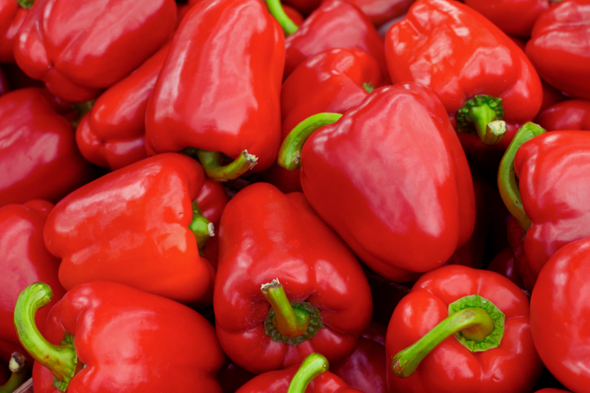 Sweet Red Bell Pepper Seeds | Non-GMO Heirloom | Capsicum annuum | Fresh Garden Seeds for Home Gardening
