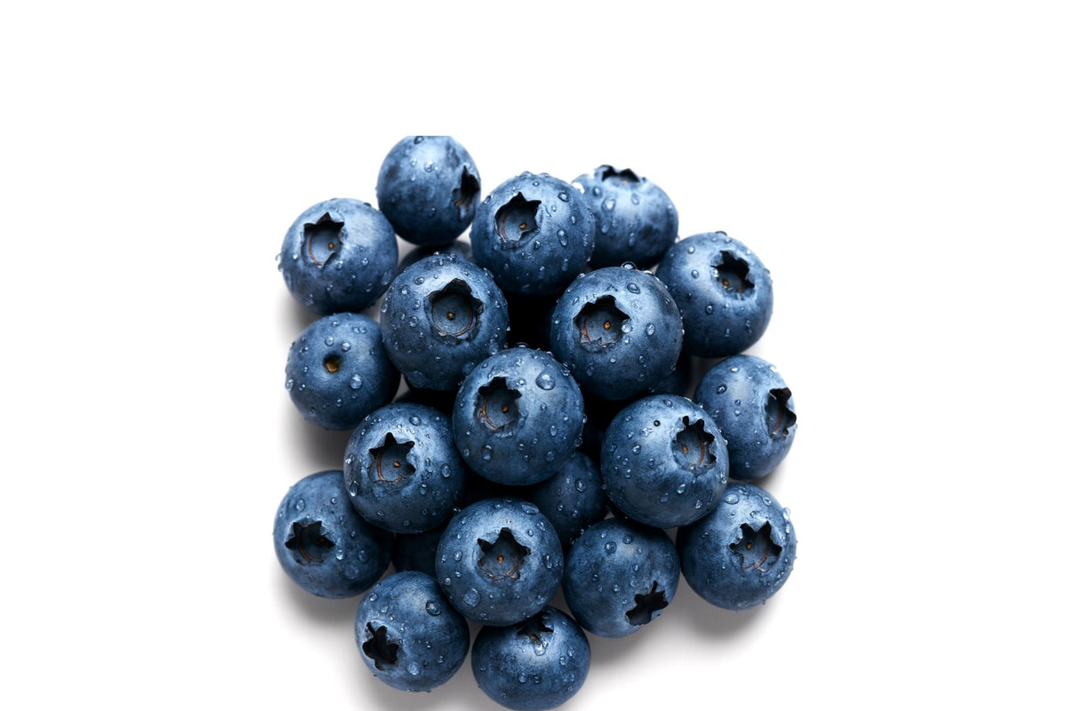 Azure Huckleberry Seeds - Non-GMO Flower Seeds - Vaccinium deliciosum - 125/300/500 Count for Home Gardening