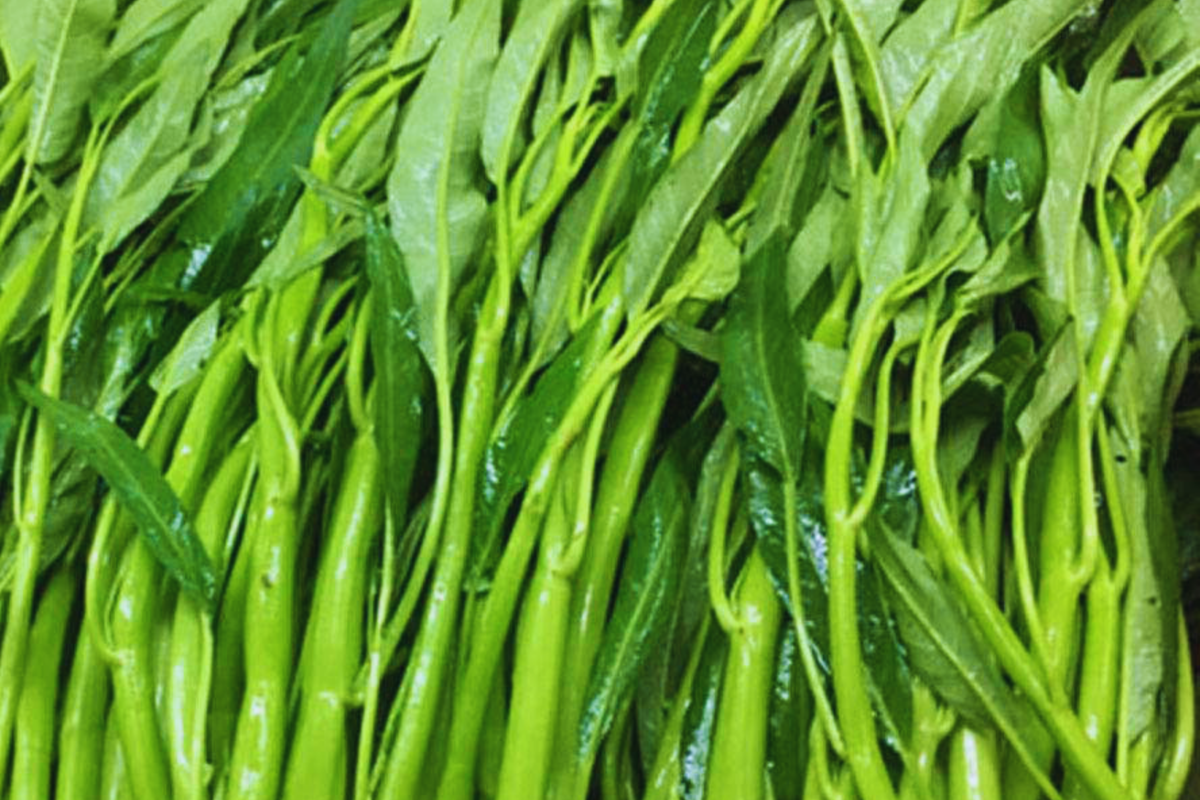 Thai Water Spinach Seeds - 50 Seeds - Ong Choy Kangkong, Big Leaf, White Stem - Ipomoea aquatica