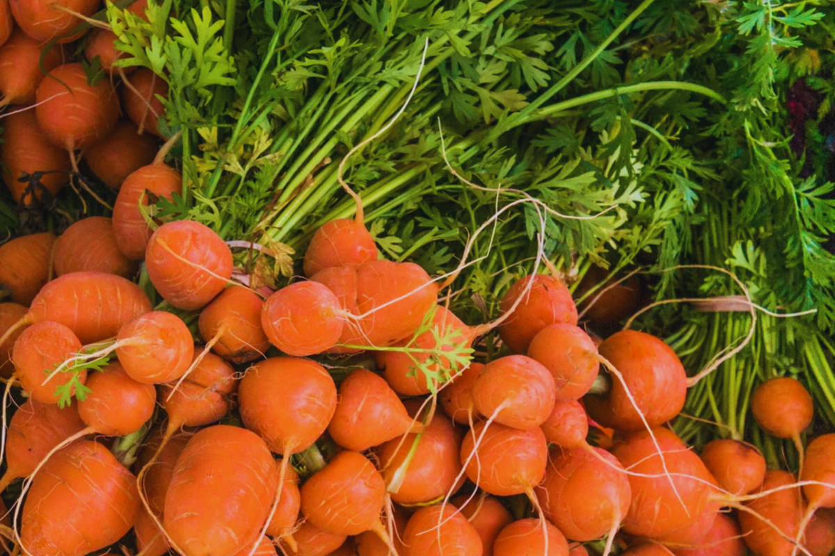 Parisian Carrot Seeds | Organic Heirloom | Daucus Carota | Non-GMO, Easy to Grow, Ideal for Small Gardens & Containers