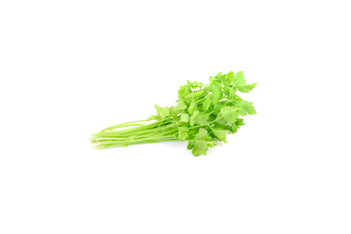 Chinese Celery Seeds | Green Leaf Variety | Kin Tsai | Apium graveolens var. secalinum | Culinary Herb Seeds