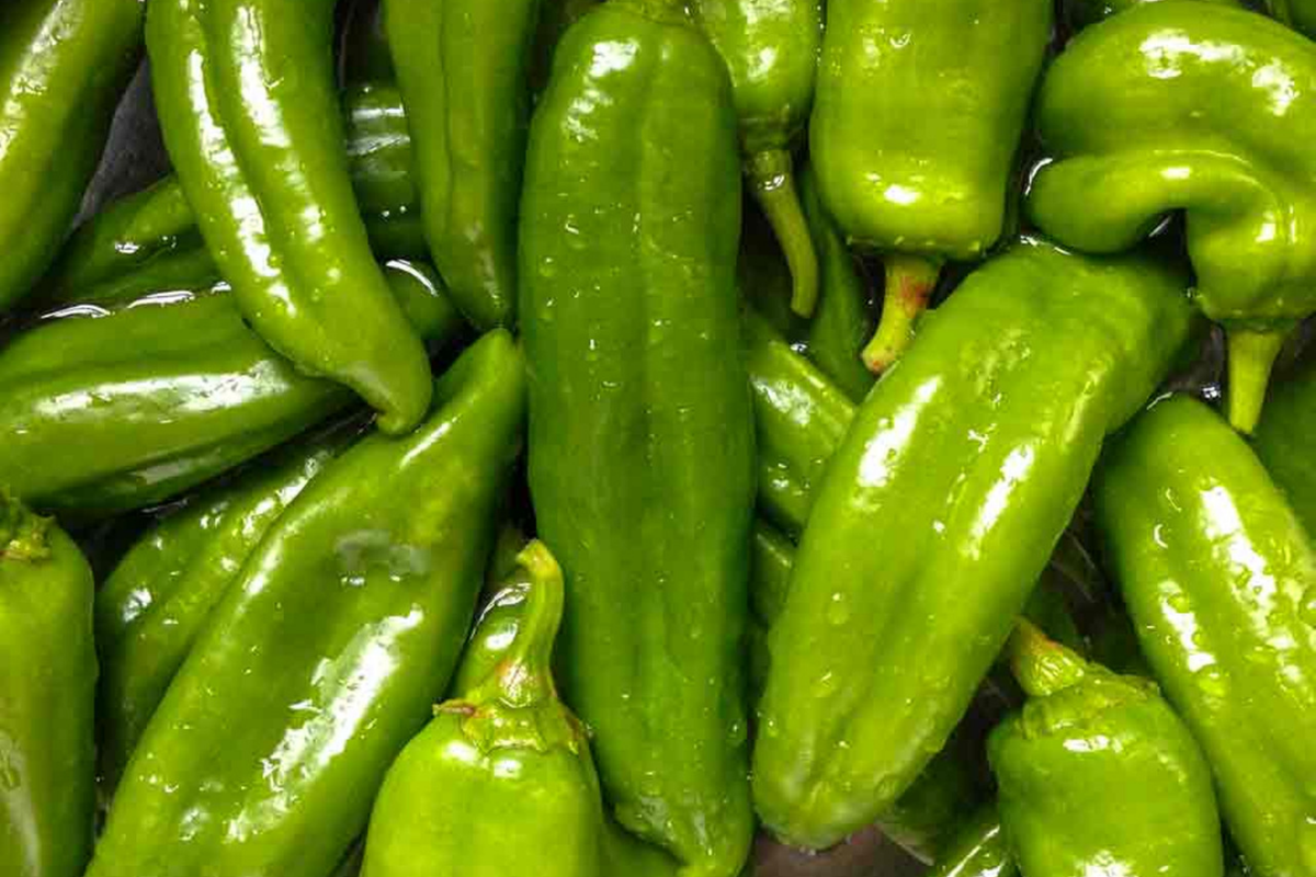 Long Green Hot Pepper Seeds | Non-GMO | Spicy Capsicum annuum | 20 Pack