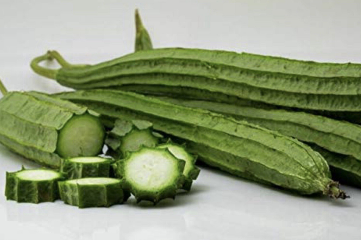 Ridged Sponge Gourd Seeds - 20 Seeds - Chinese Okra Angled Luffa Gourd - Luffa acutangula - Easy to Grow, High Yield