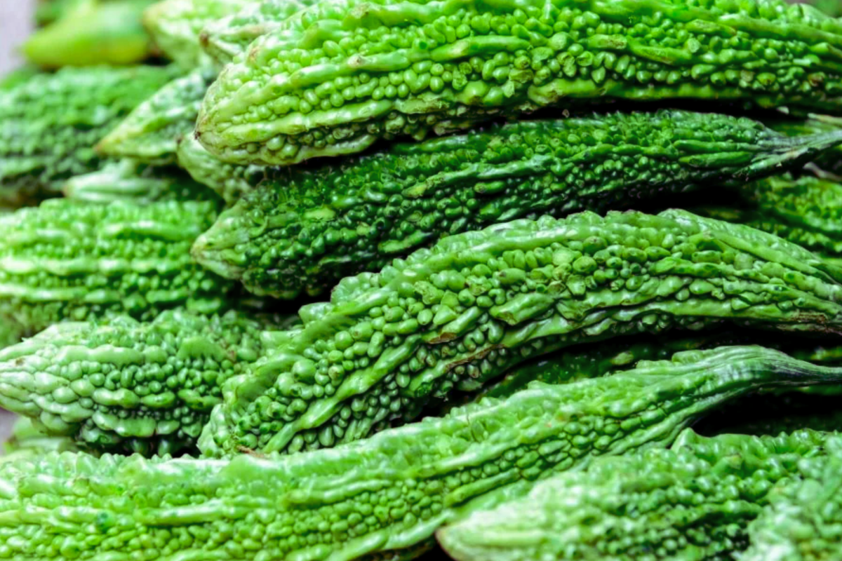 Bitter Gourd Seeds | Green Skin Long Variety | Momordica charantia | High-Yielding Bitter Melon Seeds for Home Gardening