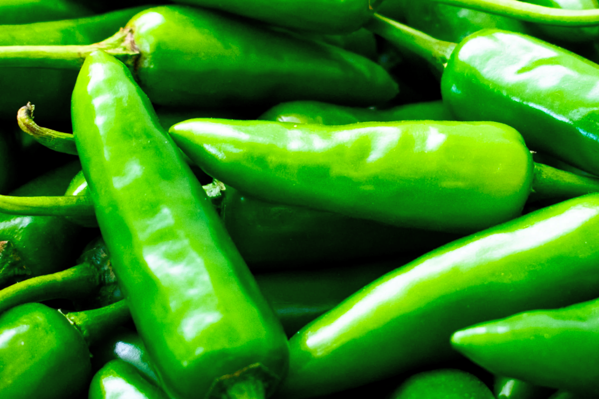 Anaheim Hot Pepper Seeds | Non-GMO Green Chili Pepper | Capsicum annuum | Ideal for Salsas and Sauces