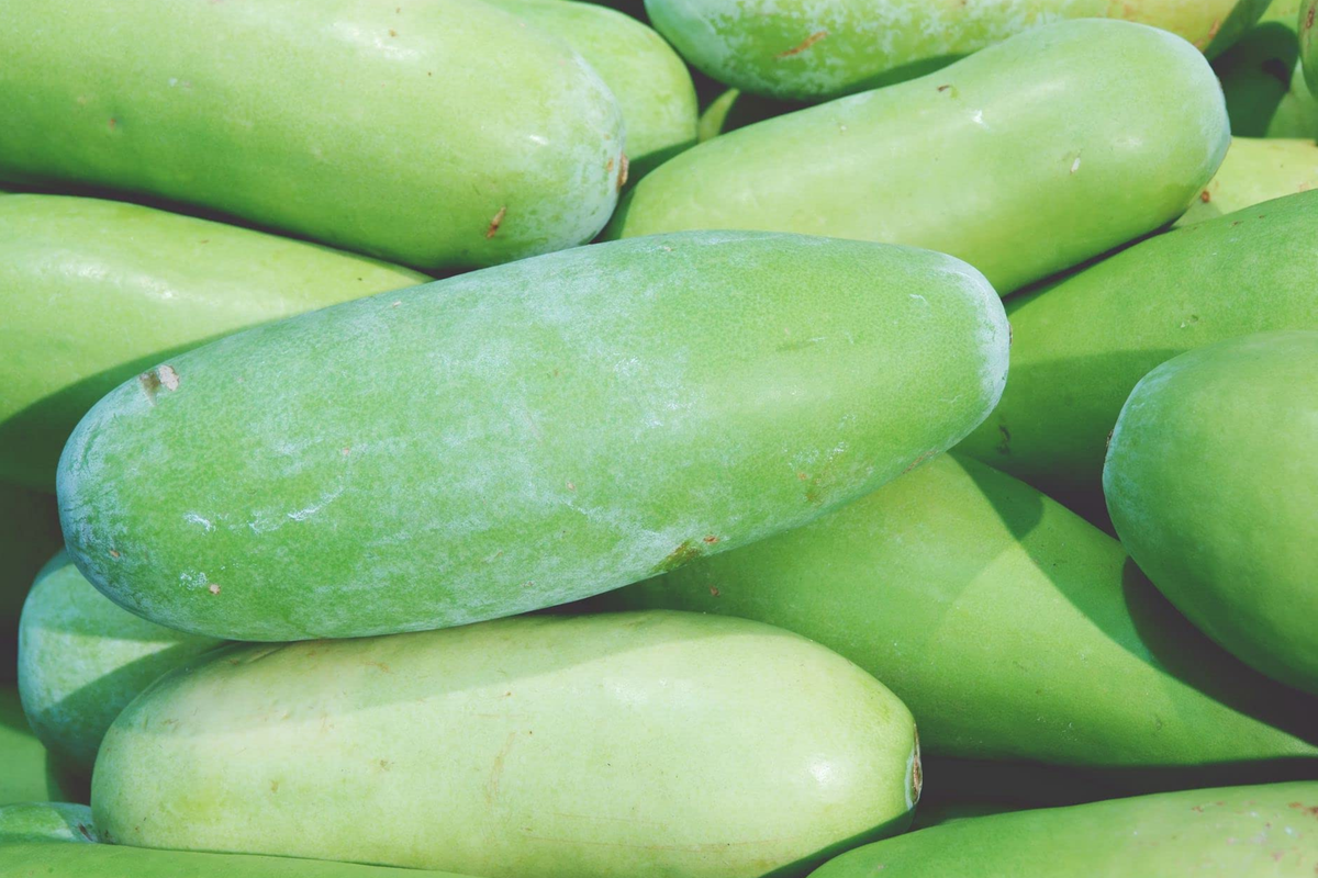 Black Skin Winter Melon Seeds | Non-GMO | Benincasa hispida | Dark Skinned Variety for Garden & Culinary Use