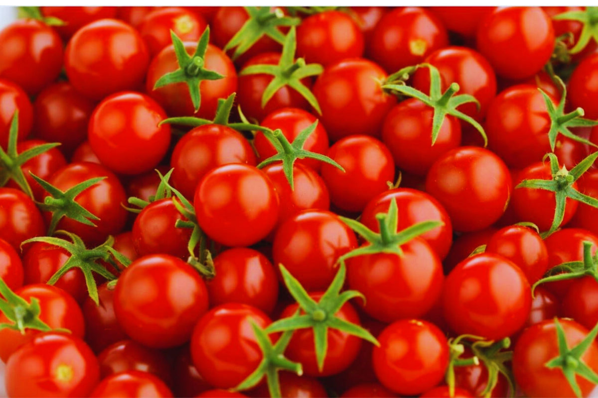 Large Red Cherry Tomato Seeds - 100+ Heirloom Vegetable Seeds - Solanum lycopersicum - Non-GMO for Home Garden