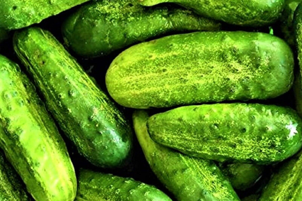 Pickling Cucumber Seeds - 50+ Non-GMO Wisconsin SMR-58 - Cucumis sativus for Home Gardening and Pickling