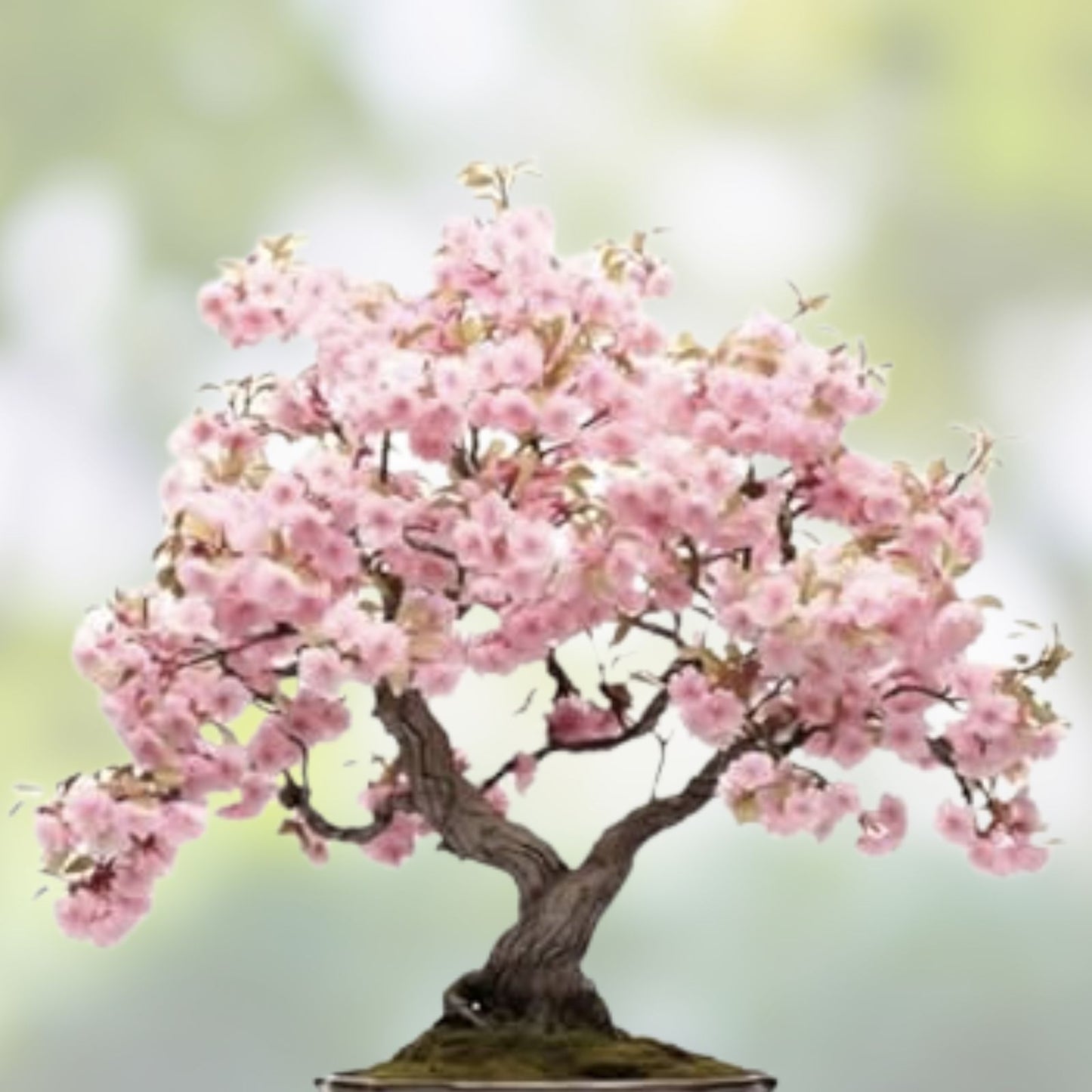 Cherry Tree Bonsai Seeds 20 Pack Prunus avium Live Plant Starter Kit for Growing and Planting