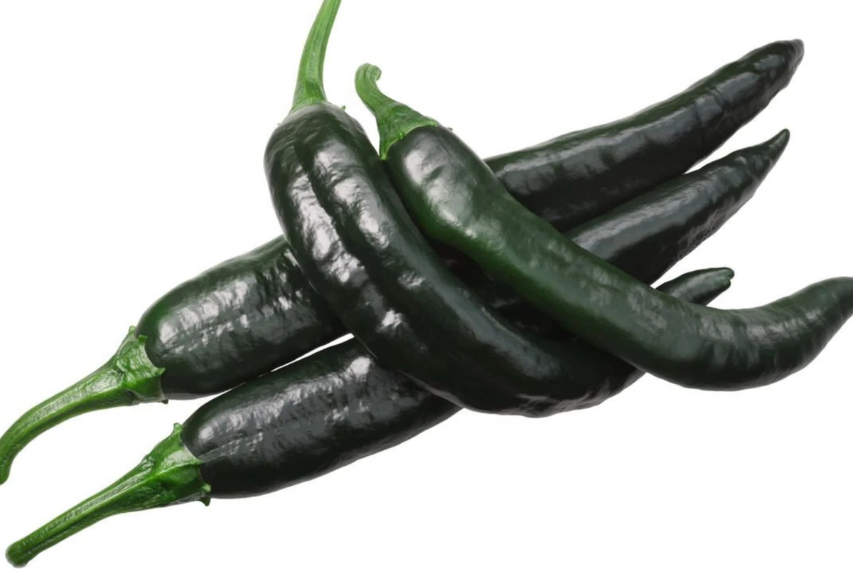 25 Seeds Pasilla Bajio Chilaca Pepper - Capsicum annuum - Mild Smoky Mexican Chile for Salsas and Sauces