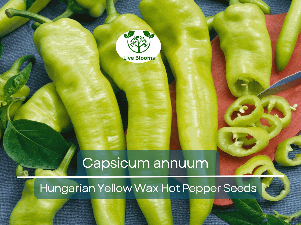 30 Seeds Hungarian Yellow Wax Hot Pepper - Capsicum annuum - Heirloom, Medium Heat, Ideal for Pickling & Salsas