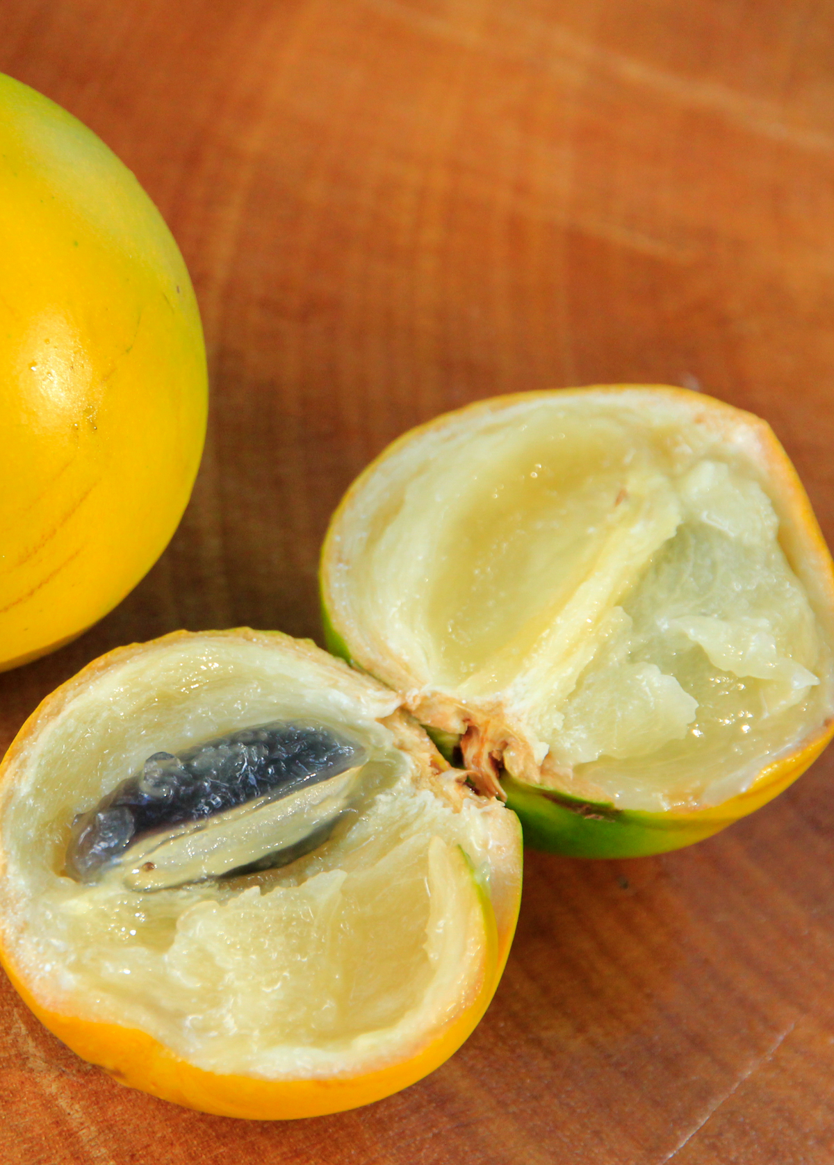 Abiu (Pouteria caimito)