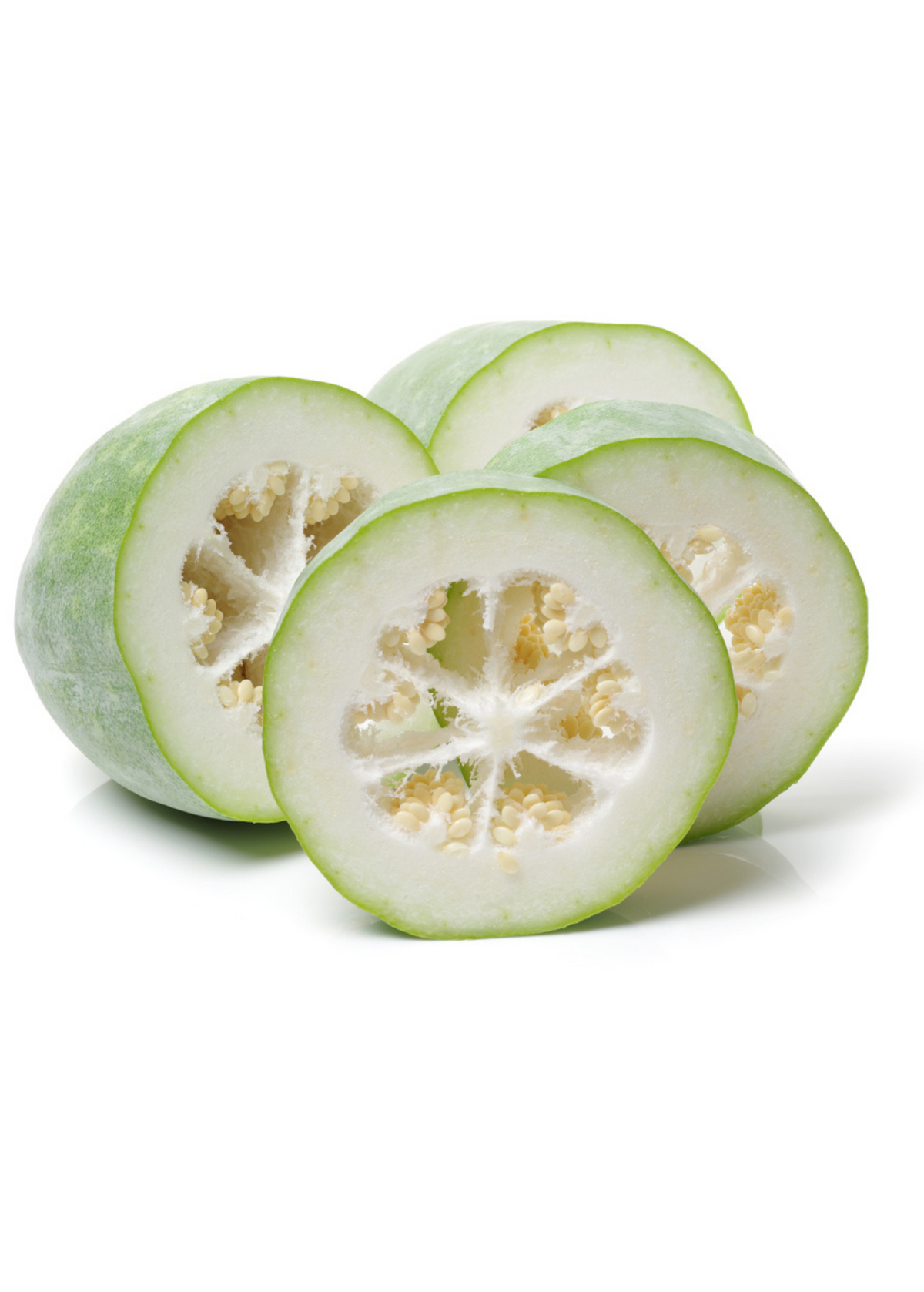 Winter Melon (Benincasa Hispida)