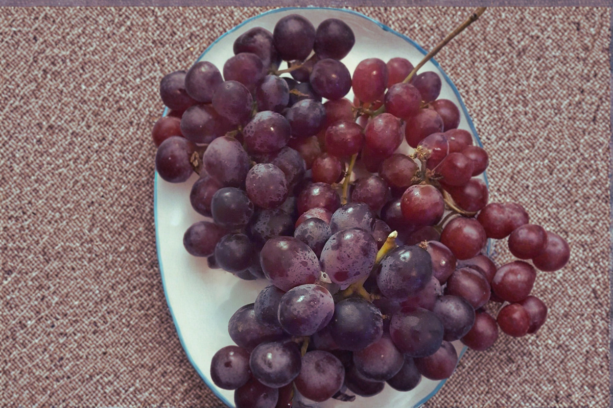 Victoria Red Seedless Grape Vine 4–6 ft Live Plant – Table Grape Vine for Garden & Vineyard, Fast Growing Climbing Fruit Vine