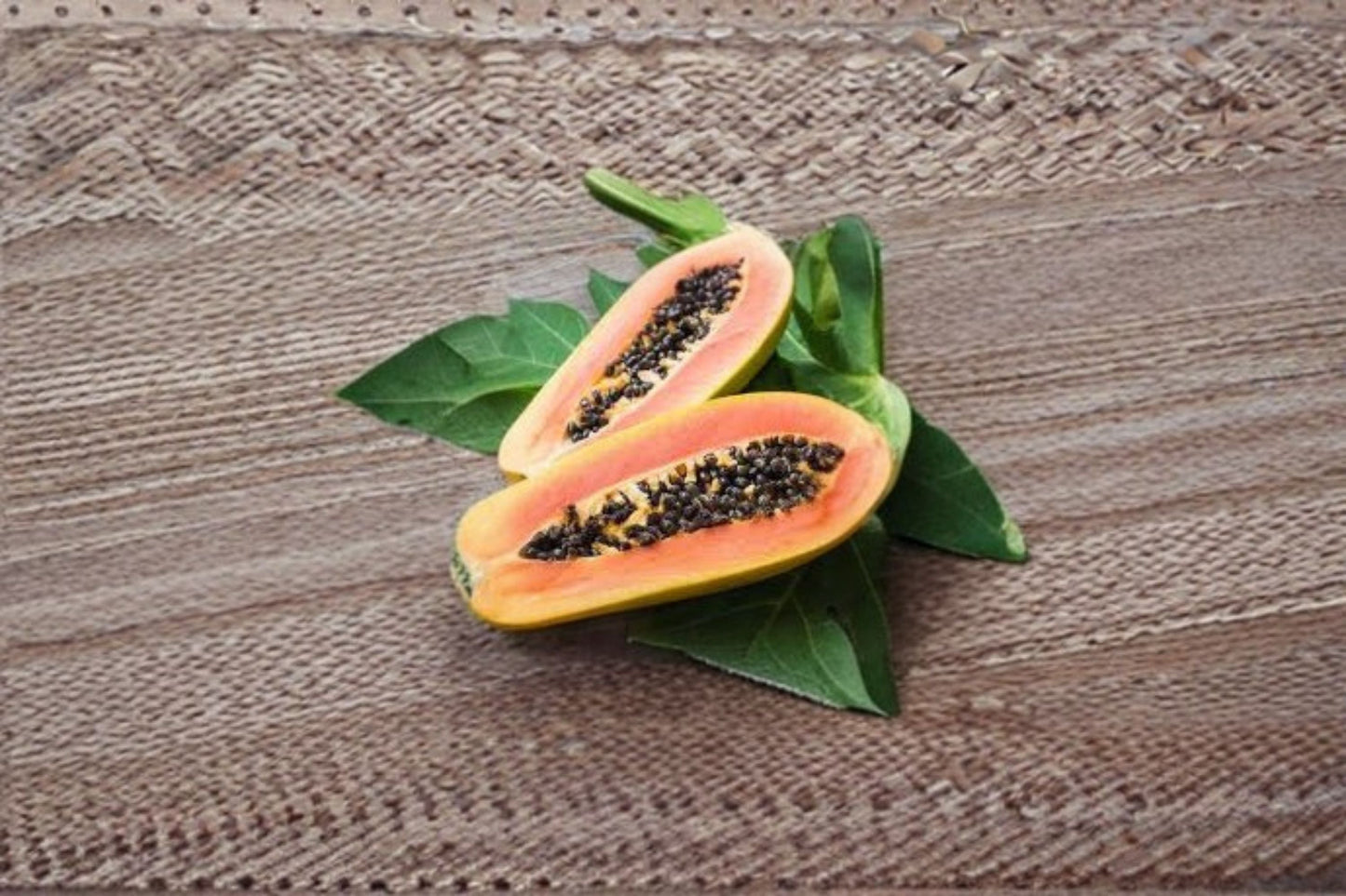 Red Lady Papaya Live Plant - Tropical Fruit Tree - Carica papaya 'Red Lady' - High Yield Edible Garden Plant