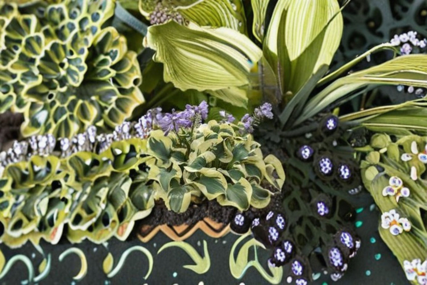Mini Skirt Hosta Live Starter Plant - Dwarf Ruffled Foliage - Hosta 'Mini Skirt' - Blue-Green & Creamy Margins