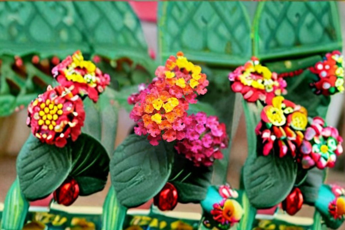 Irene Lantana Plant - Compact Perennial Shrub with Yellow & Pink Flowers - Lantana camara 'Irene' - Sun-Loving Garden Plant