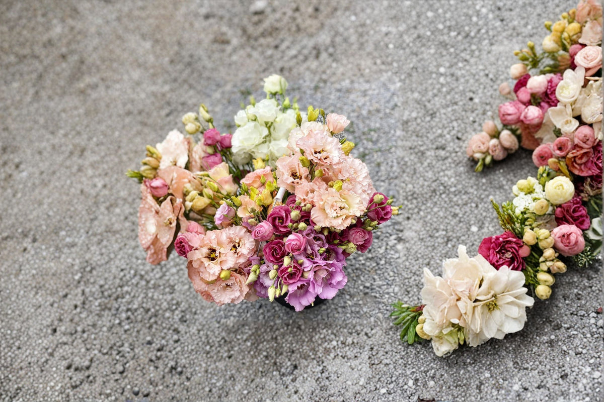 Lisianthus Plant Starter Plug - Voyage Series Eustoma grandiflorum - Rose-like Blooms for Garden Beds & Containers