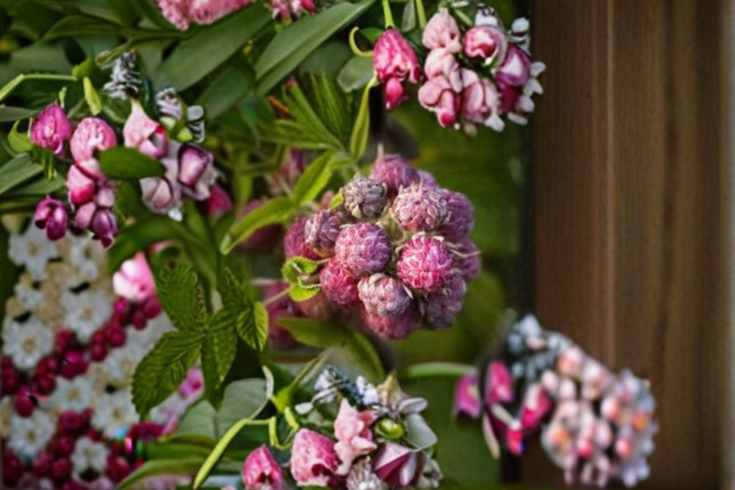 Mysore Raspberry Live Plant - Fruiting Shrub - Rubus niveus - Edible Garden Berry Plant for Backyard and Food Forest