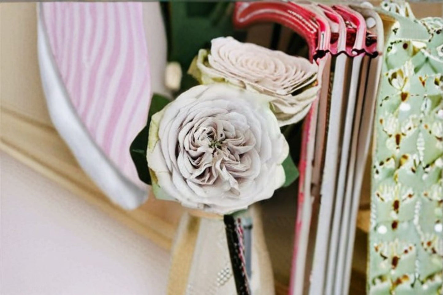 Silver Mine Rose Live Plant - Gray Pink Cut Rose with Green Outer Petals - Rosa hybrid - Unique Ornamental Flower