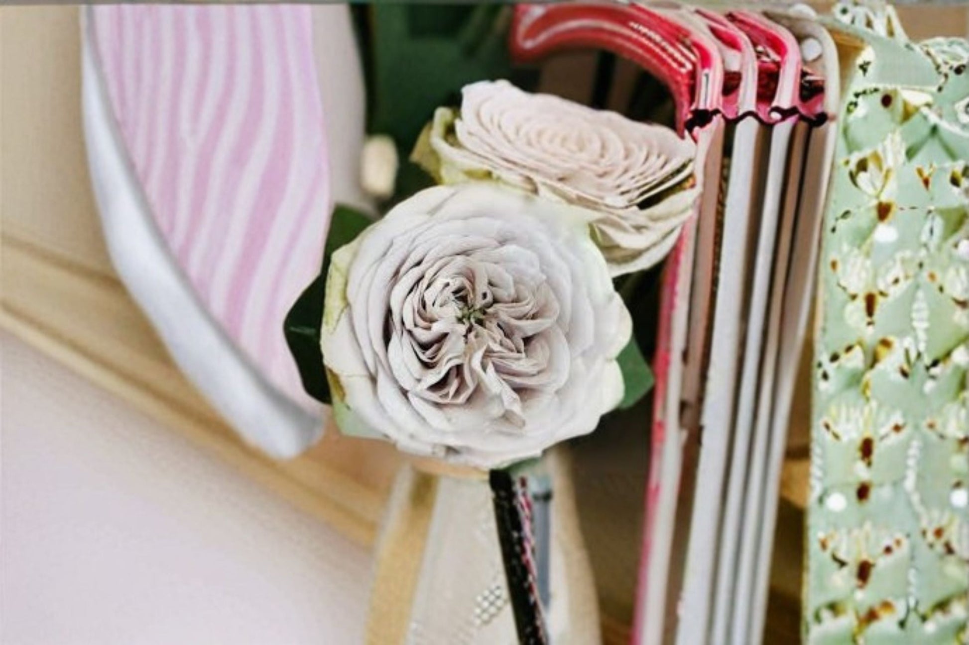 Silver Mine Rose Live Plant - Gray Pink Cut Rose with Green Outer Petals - Rosa hybrid - Unique Ornamental Flower