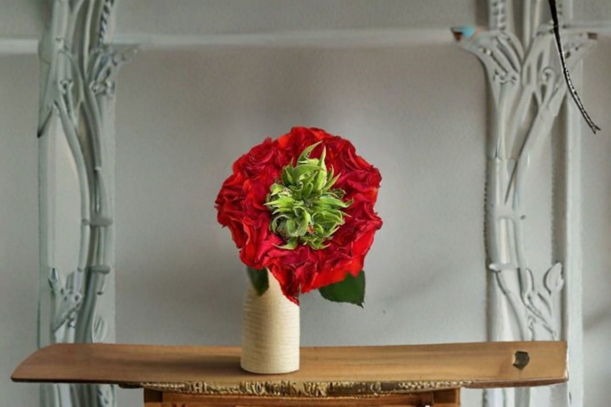 Red Eye Rose Live Plant - Compact Repeat Blooming Shrub Rose - Rosa Hybrid - Ornamental Flowering Plant for Containers and Gardens