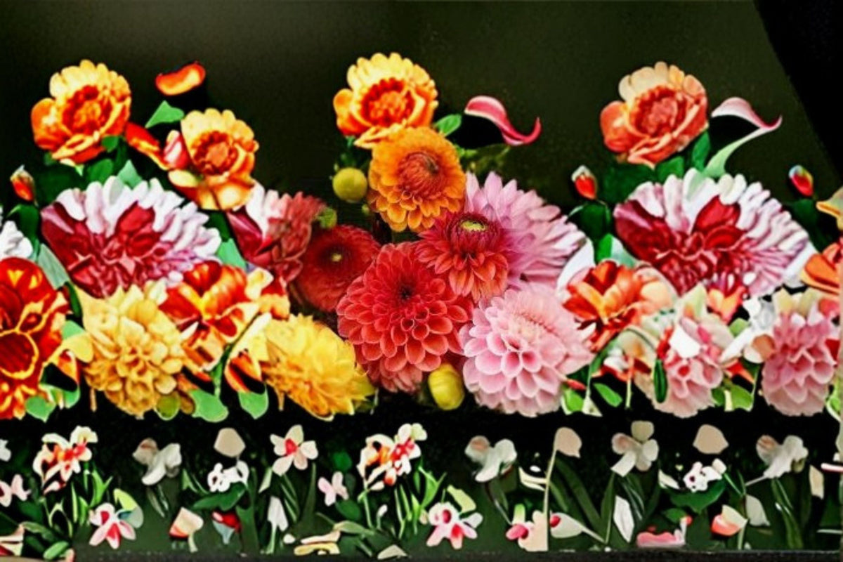 Dahlia Plant - 1 Live Plant - Vibrant Mixed Blooms - Dahlia pinnata - Perfect for Gardens, Borders, and Cut Flowers