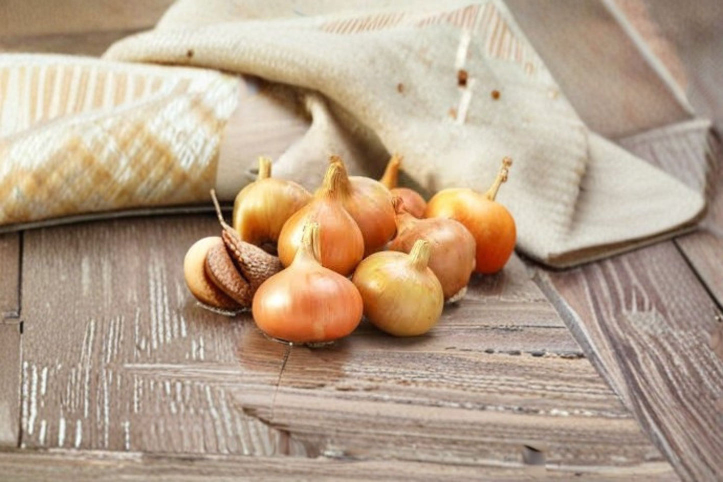 Stuttgarter Onion Sets 1 Lb - Non-GMO Yellow Onion Bulbs - Allium cepa - Easy to Grow for Vegetable Gardens & Kitchen Gardens