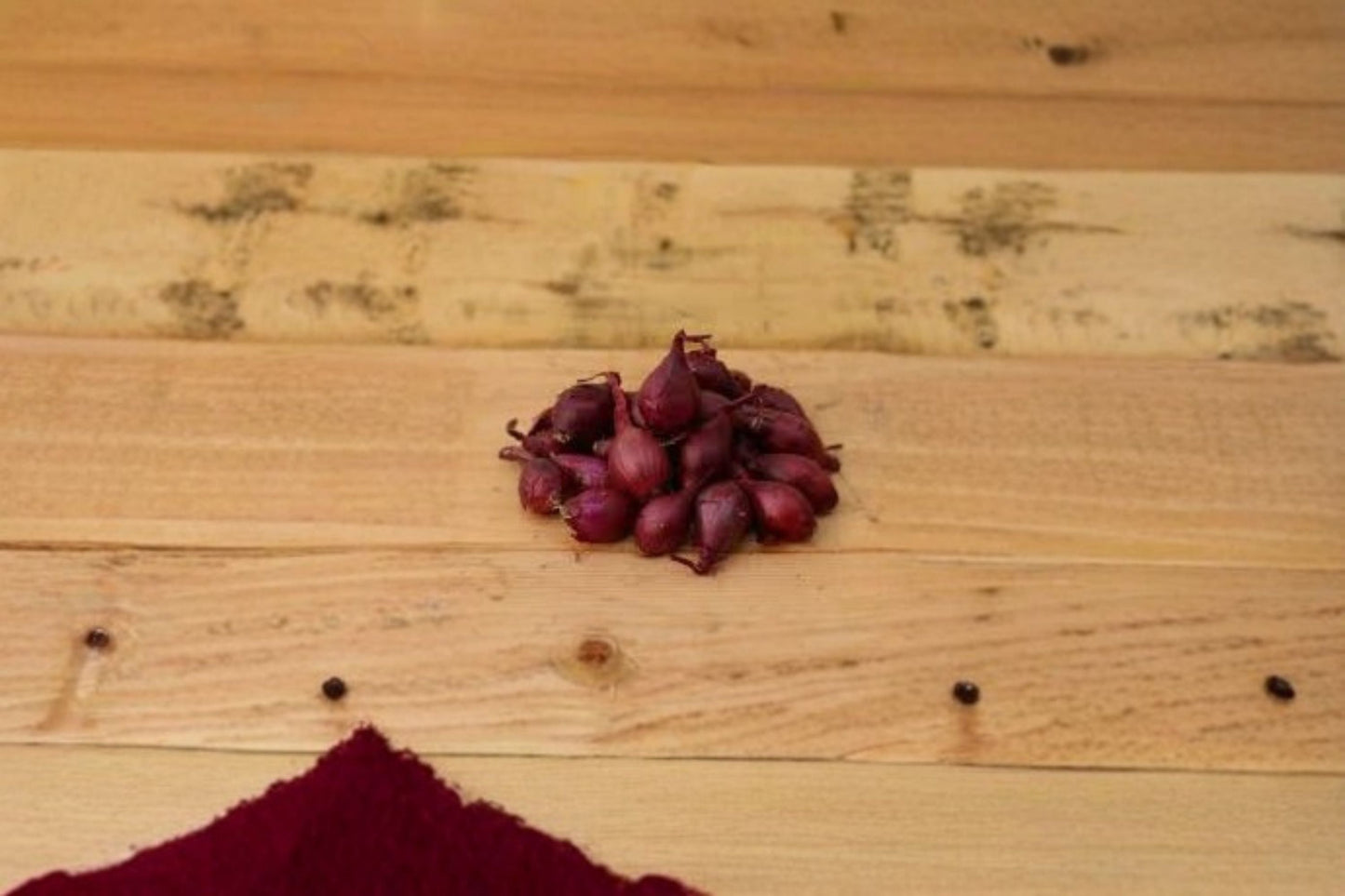 4 Lbs Red Baron Onion Sets | Easy Grow Bulbs | Allium cepa | Reliable Vegetable Garden Starter Bulbs for Home Food Production
