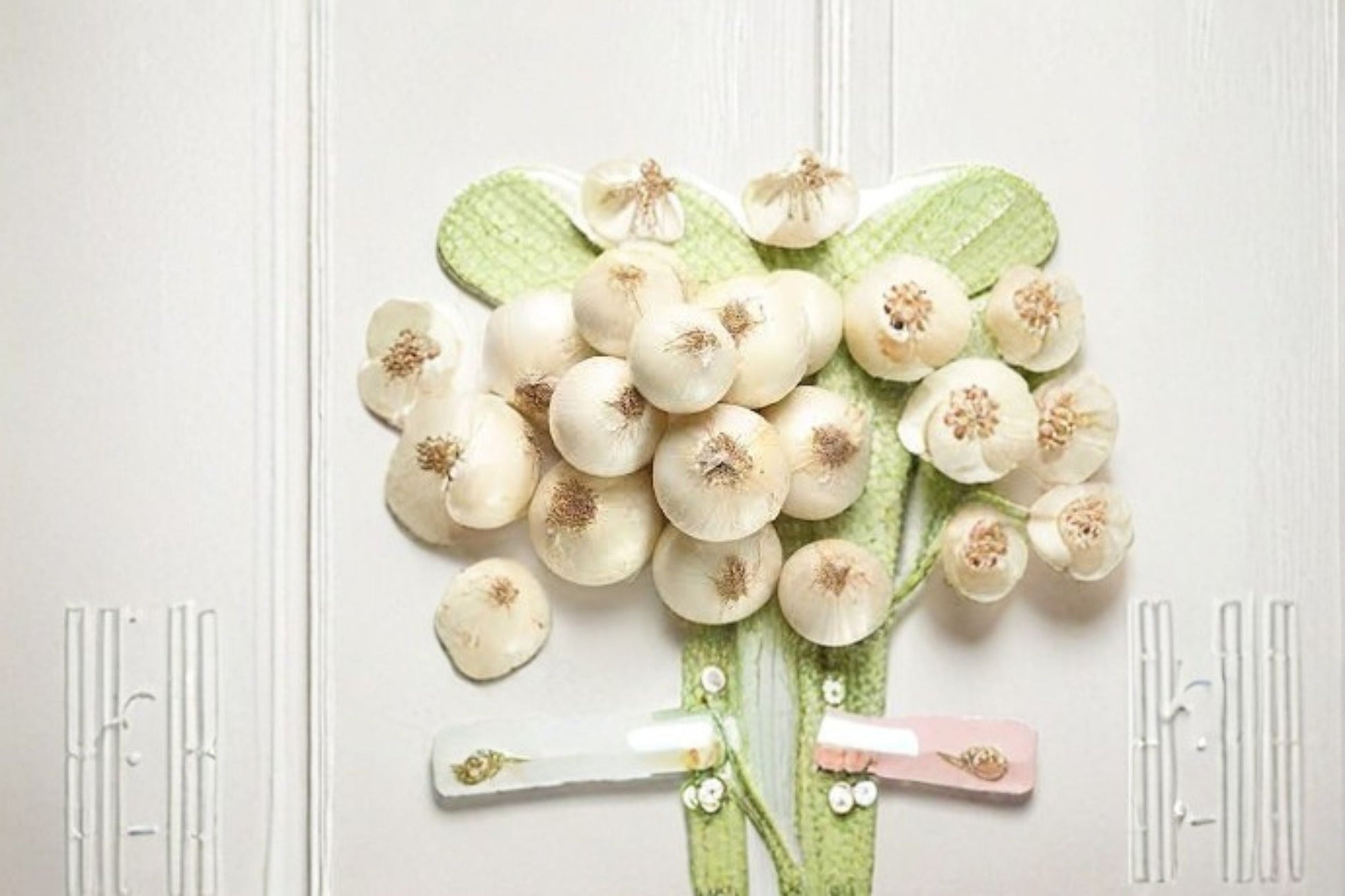 White Ebenezer Onion Sets 4 Lbs - Non-GMO Allium cepa - Bulk White Onion Bulbs for Vegetable Gardens, Raised Beds, Edible Landscapes