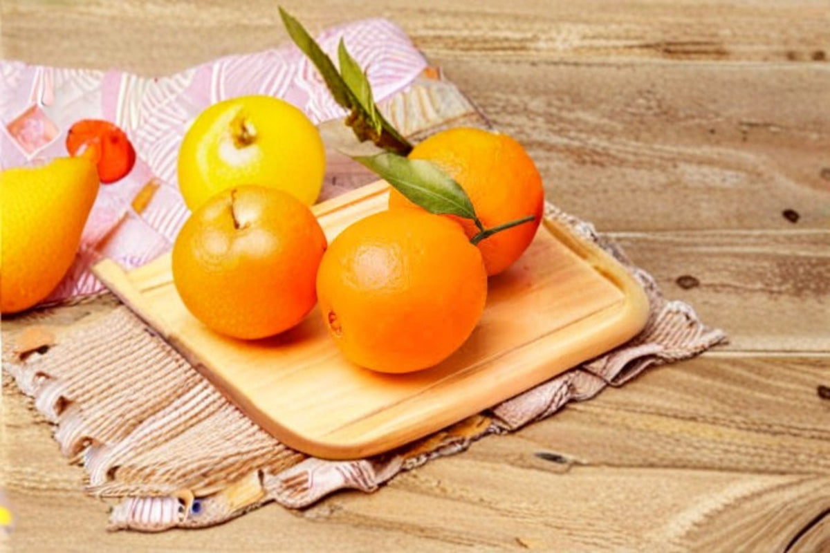 Navel Orange Scions - 3 Fresh Cuttings for Grafting - Citrus sinensis - Sweet Seedless Fruit Tree