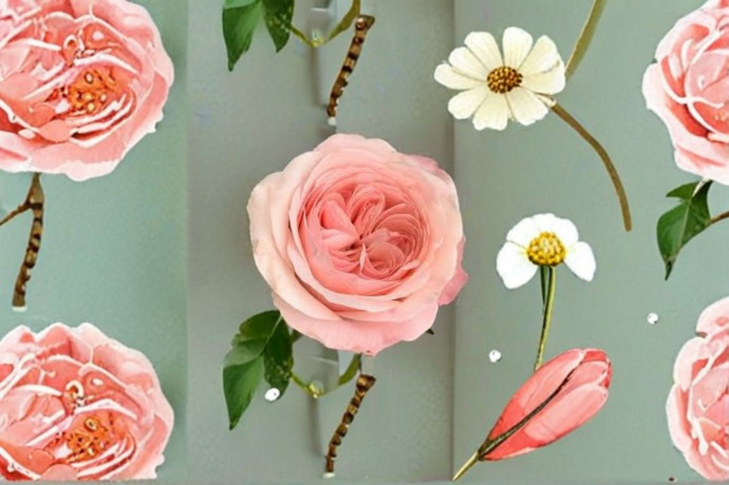 Catherine Rose Plant - Pink Ornamental Shrub Rose - Rosa sp. - Ideal for Gardens and Cut Flower Arrangements