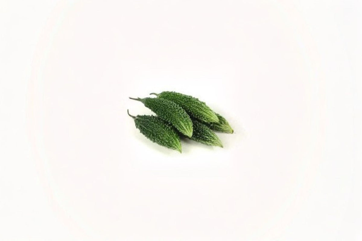 Christmas Cactus Starter Plant - Miss Shimano - Schlumbergera Truncata - Well-Rooted Indoor Cactus for Holiday Decor