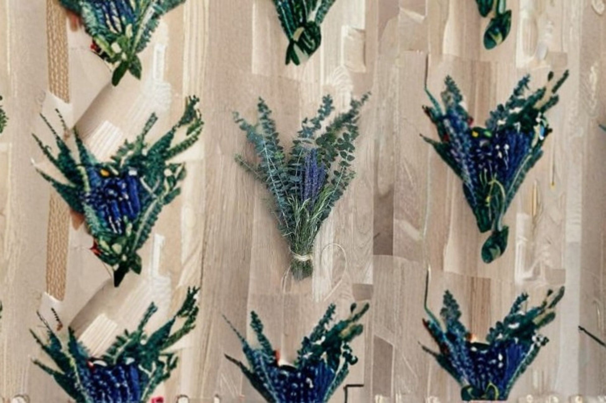 Fresh Eucalyptus Bundle 4 Stems - Silver Dollar Eucalyptus - Eucalyptus cinerea - Aromatic Greenery for Home Décor