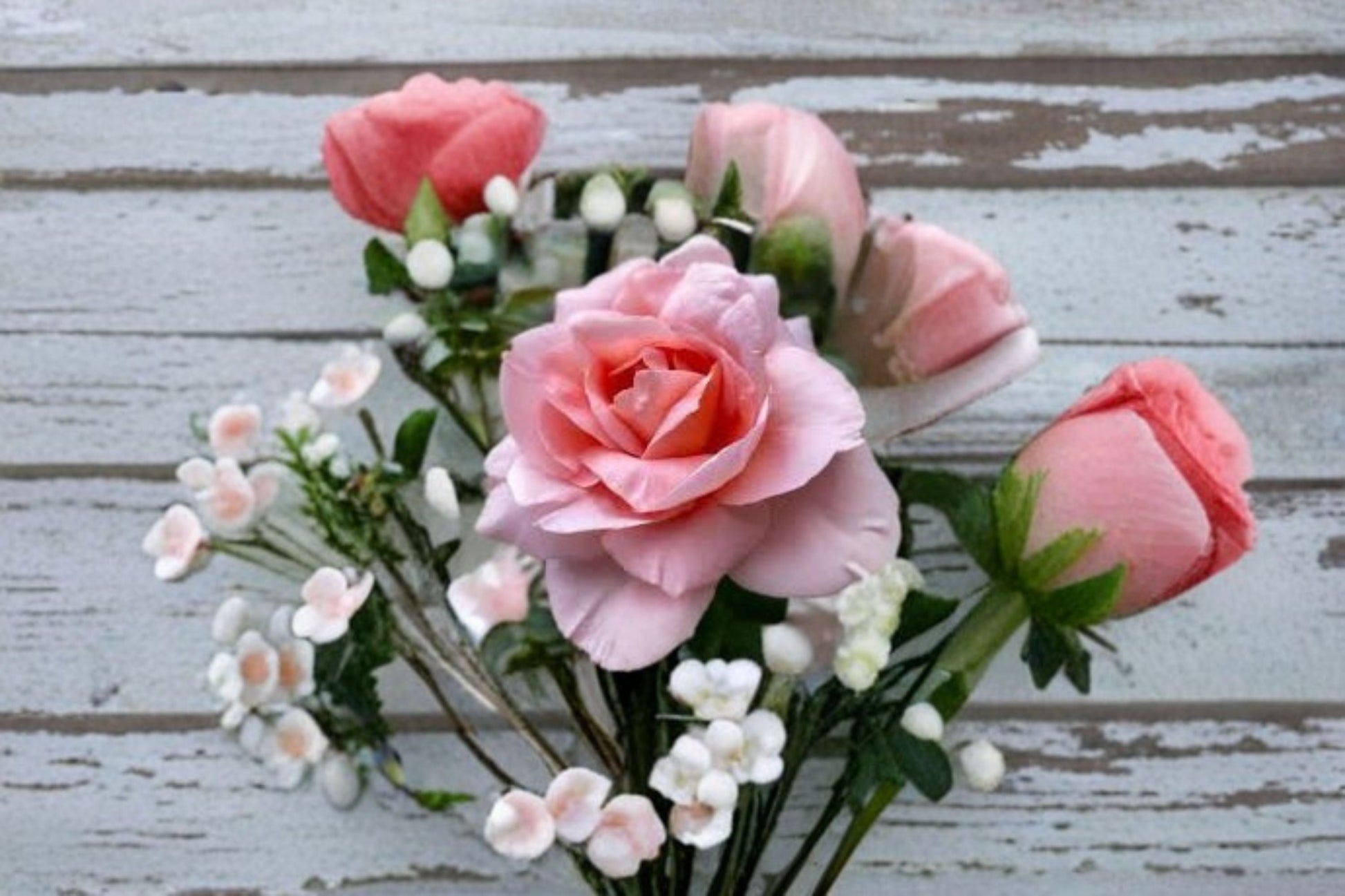 Climbing Rose Live Plant - Salmon Pink Dames de Chenonceau - Rosa hybrid - Fragrant, Disease Resistant, Ornamental Garden Rose