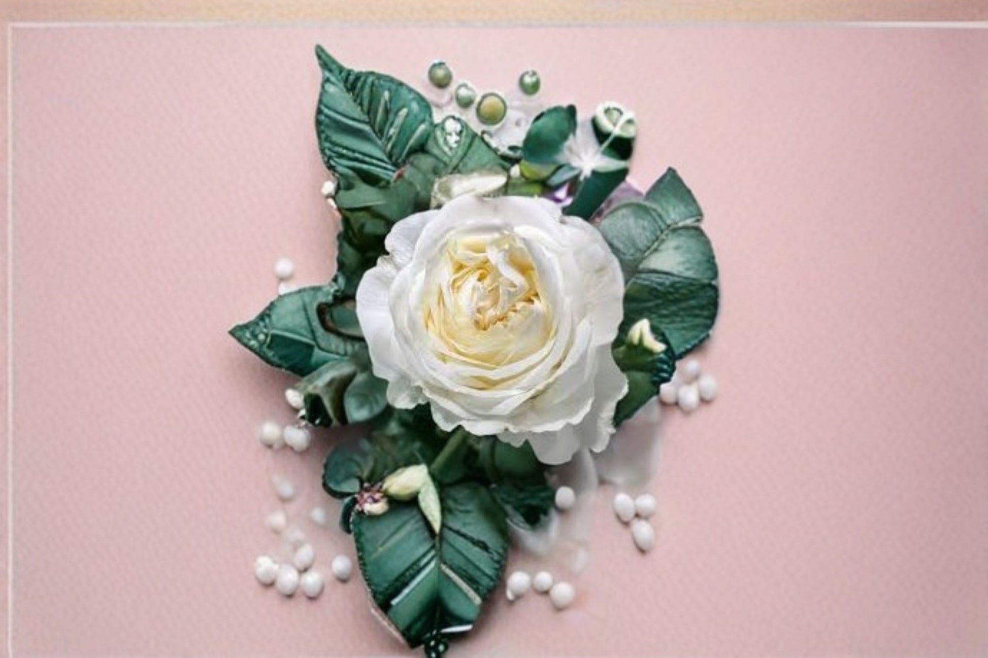 Moon Fairy Rose Live Plant - Easy Care Shrub Rose - Rosa hybrid - Ornamental White Flowering Garden Rose for Sunny Spaces